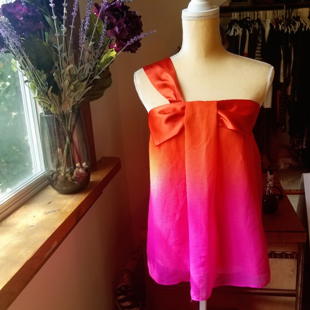 Stunning Ombre Top